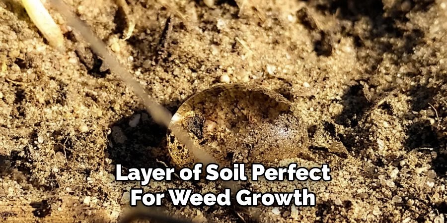Layer of Soil Perfect
For Weed Growth
