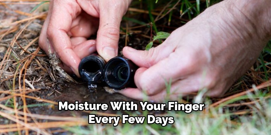 Moisture With Your Finger
Every Few Days