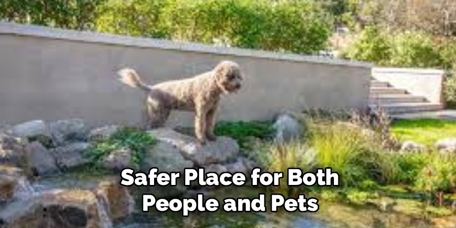 Safer Place for Both
People and Pets