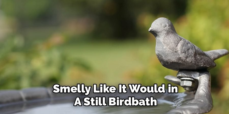 Smelly Like It Would in
A Still Birdbath