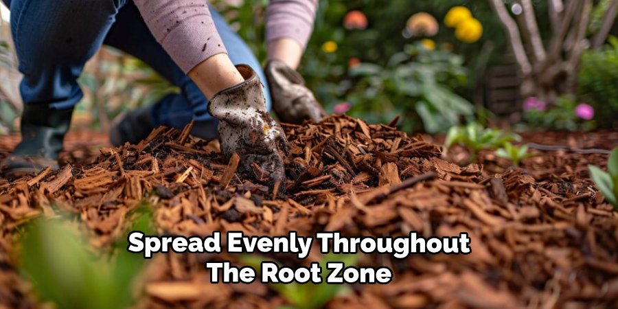 Spread Evenly Throughout
The Root Zone