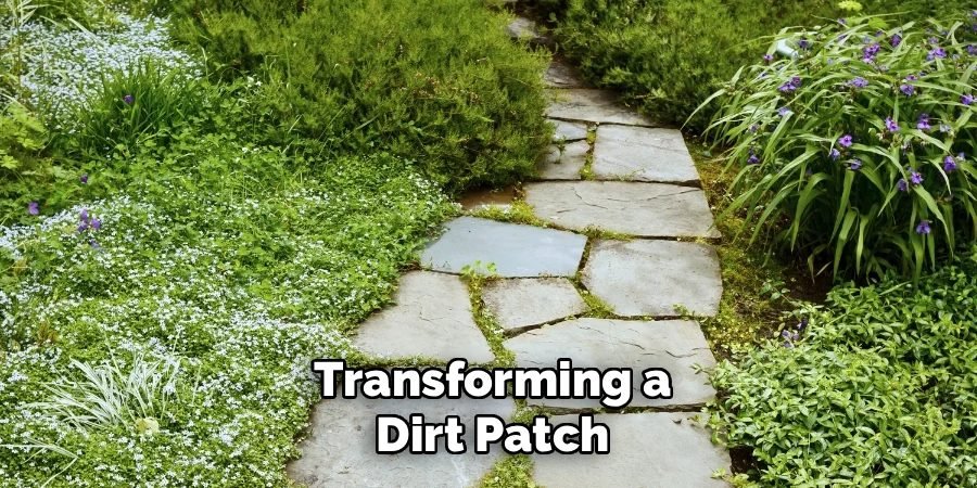 Transforming a
Dirt Patch