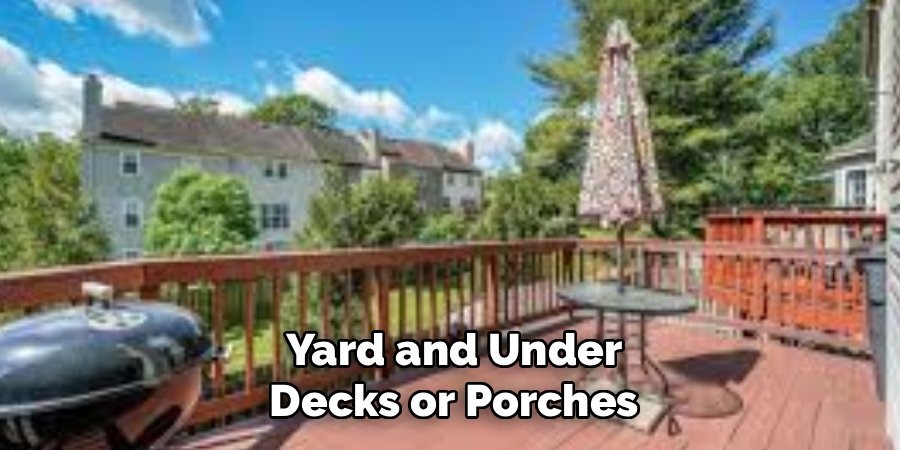 Yard and Under
Decks or Porches