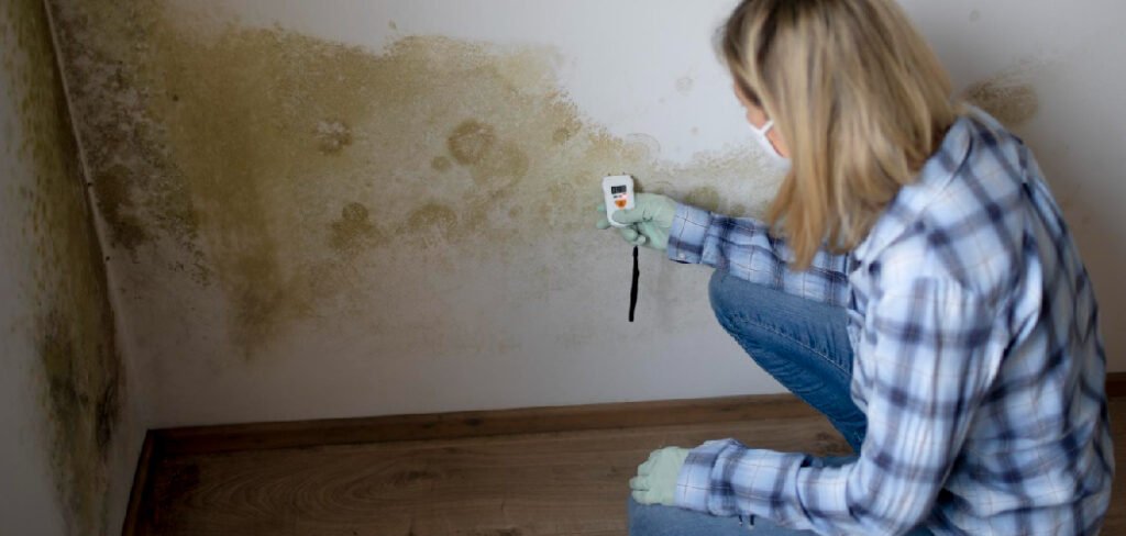 significant damage and carry health risks