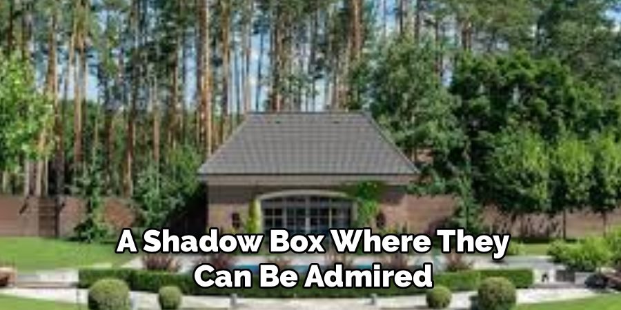 A Shadow Box Where They
Can Be Admired