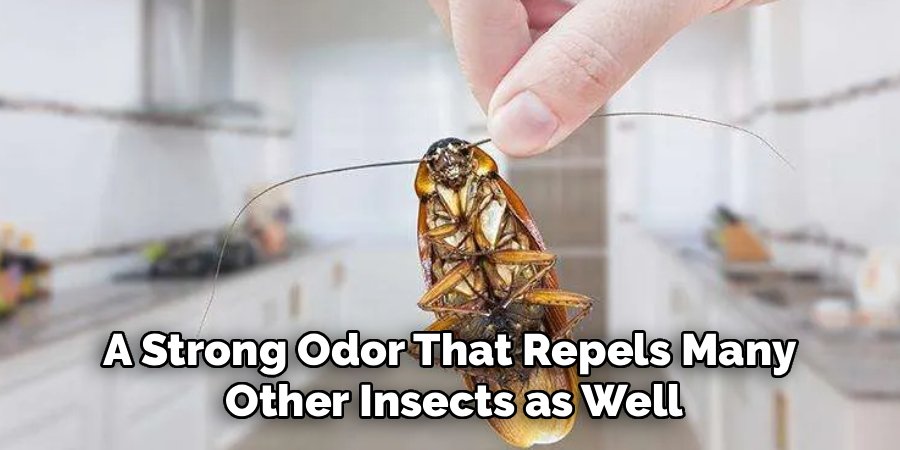 A Strong Odor That Repels Many Other Insects as Well