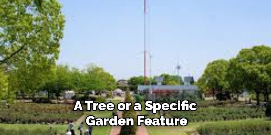 A Tree or a Specific 
Garden Feature
