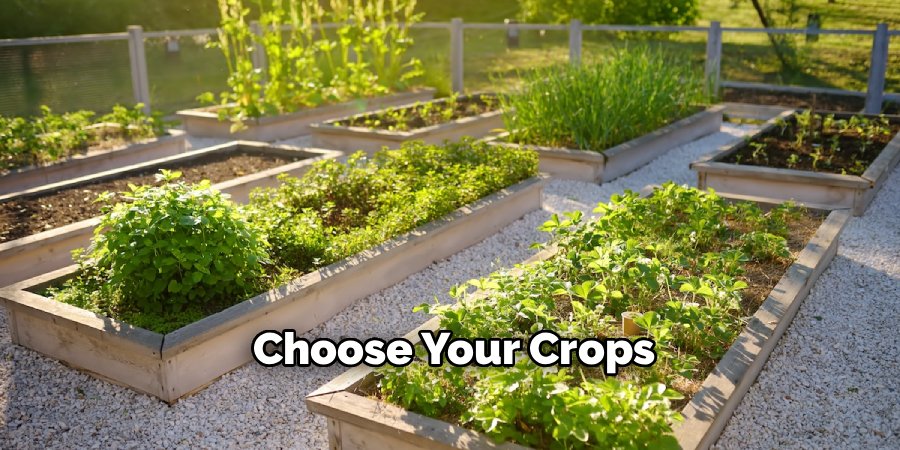 Choose Your Crops