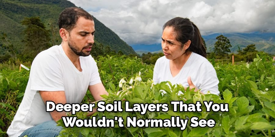 Deeper Soil Layers That You
Wouldn't Normally See