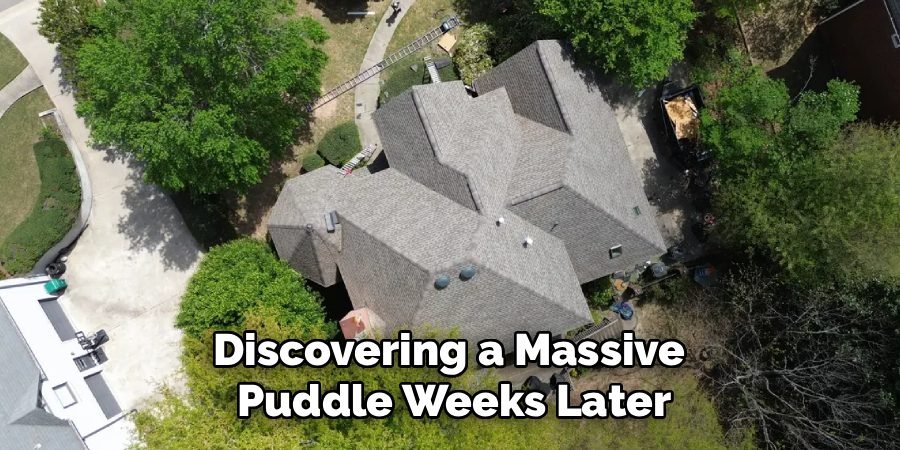 Discovering a Massive
Puddle Weeks Later