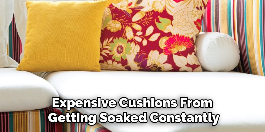Expensive Cushions From 
Getting Soaked Constantly