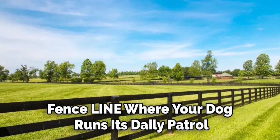 Fence LINE Where Your Dog 
Runs Its Daily Patrol