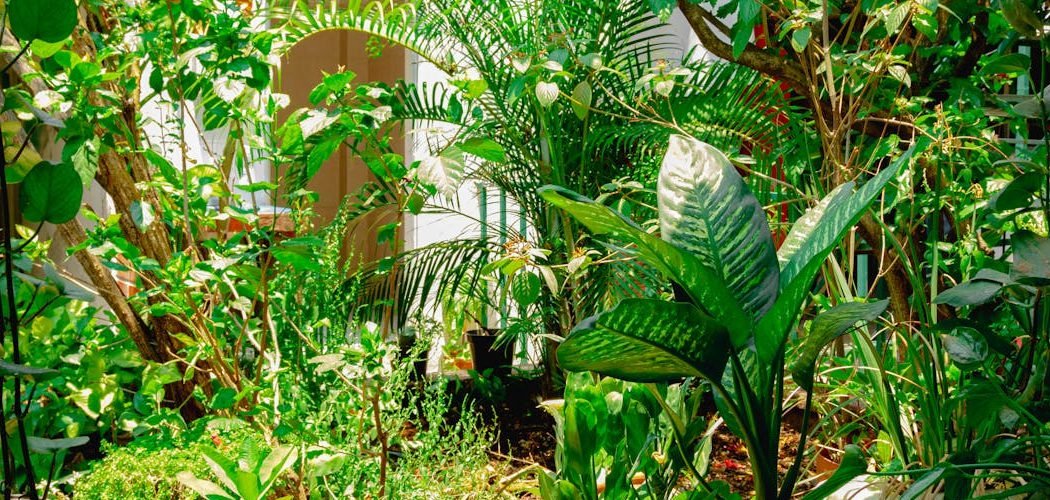 How to Arrange Potted Plants on Small Patio