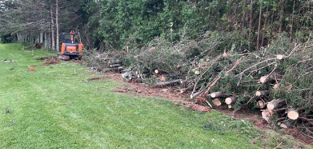 How to Clear a Wooded Backyard
