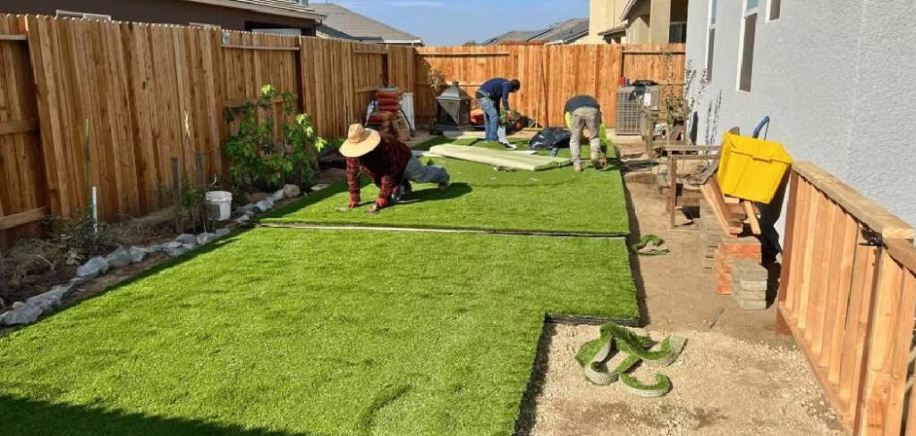 How to Deal with a Muddy Yard