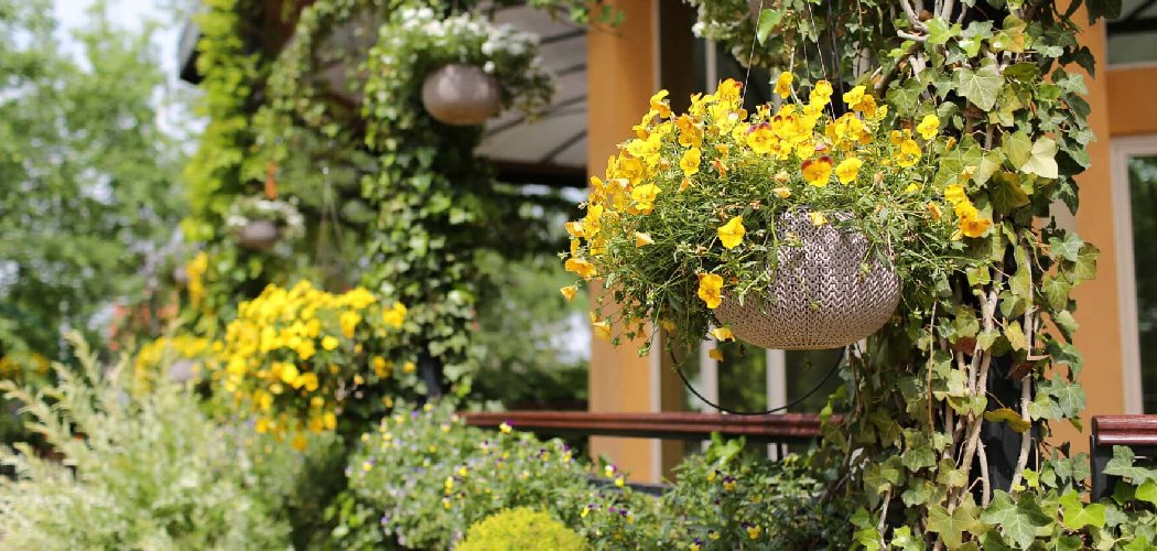 How to Hang Flower Baskets on Porch
