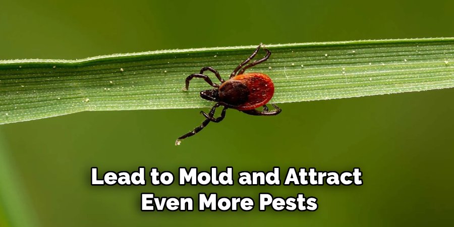 Lead to Mold and Attract
Even More Pests
