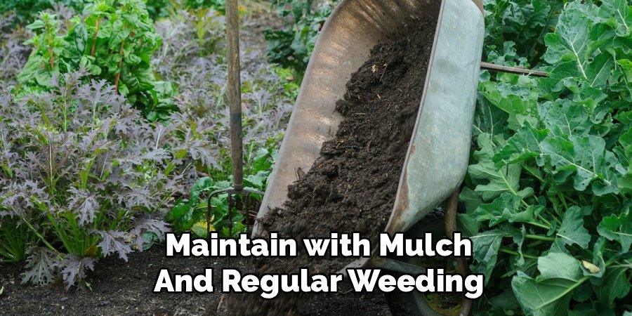 Maintain with Mulch and Regular Weeding