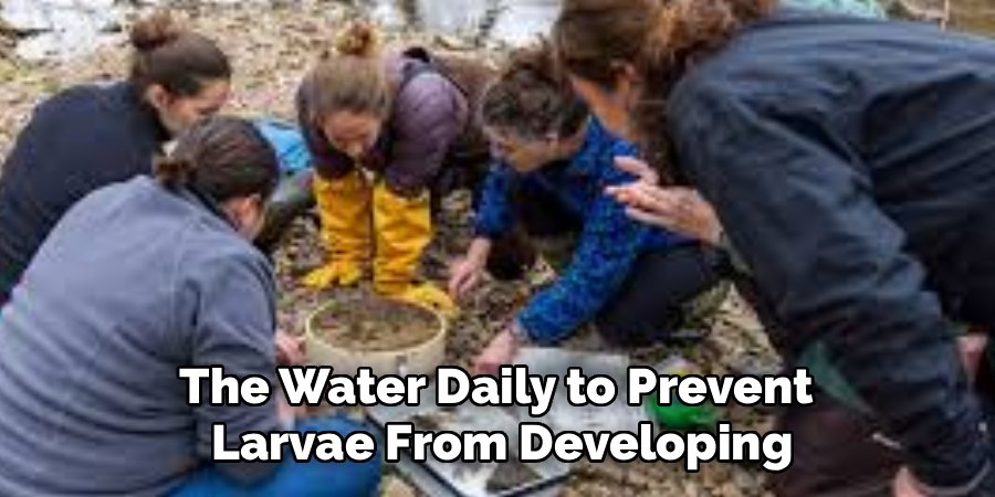 The Water Daily to Prevent
Larvae From Developing