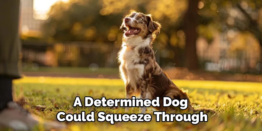 A Determined Dog 
Could Squeeze Through
