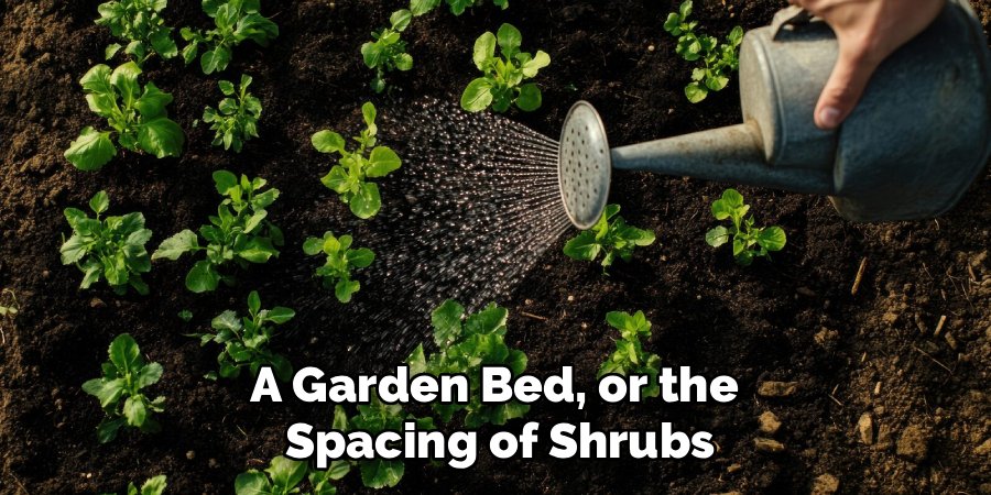 A Garden Bed, or the 
Spacing of Shrubs