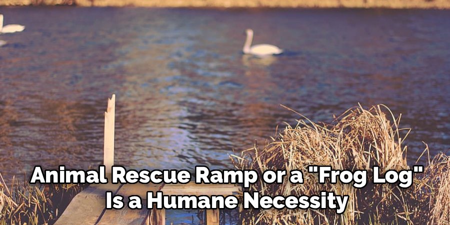 Animal Rescue Ramp or a "Frog Log"
Is a Humane Necessity