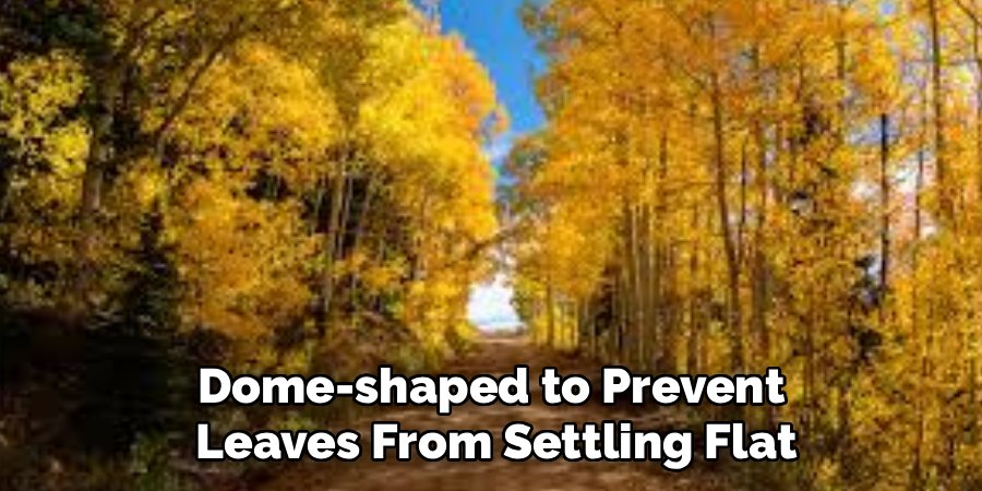 Dome-shaped to Prevent 
Leaves From Settling Flat