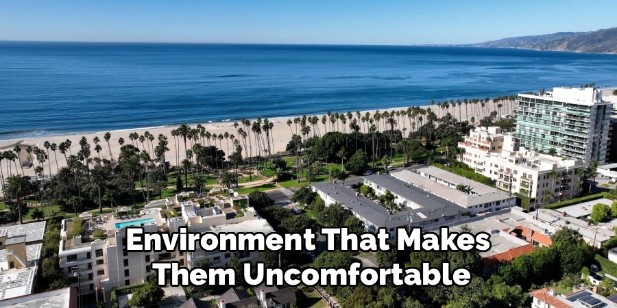 Environment That Makes 
Them Uncomfortable