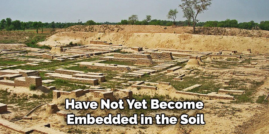 Have Not Yet Become 
Embedded in the Soil