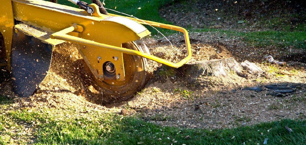 How to Remove Palm Tree Stump