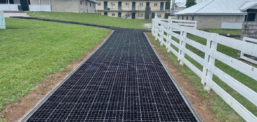 How to Separate Yards Without a Fence