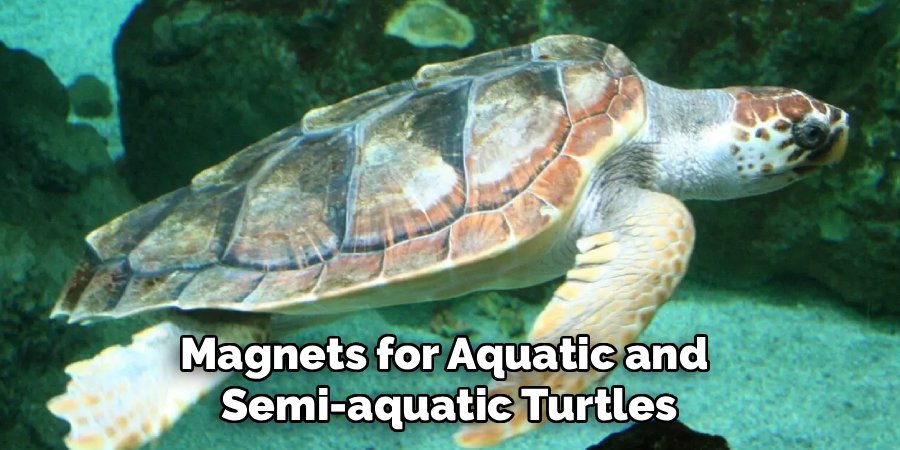 Magnets for Aquatic and 
Semi-aquatic Turtles