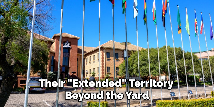 Their "Extended" Territory 
Beyond the Yard