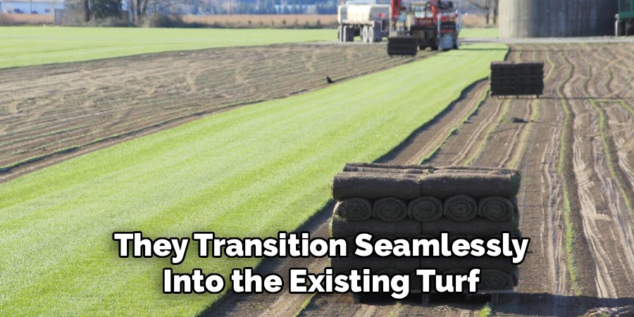 They Transition Seamlessly
Into the Existing Turf