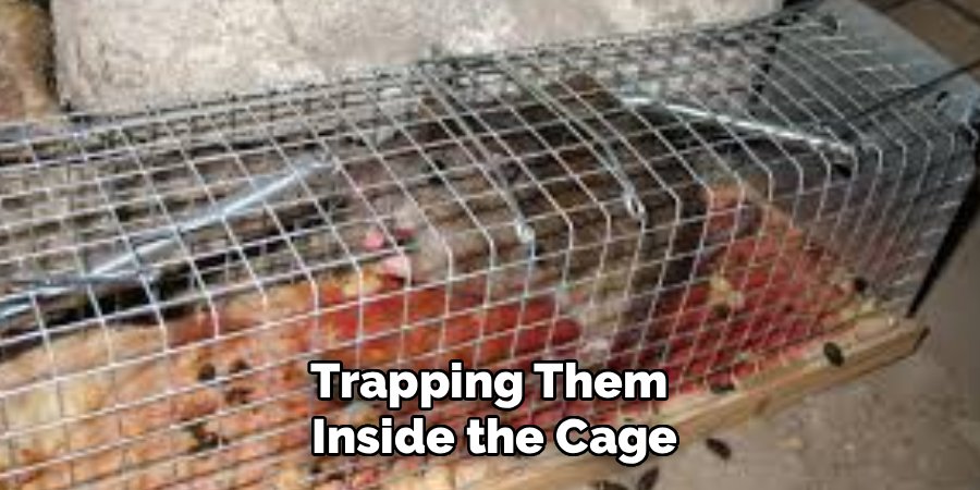 Trapping Them 
Inside the Cage
