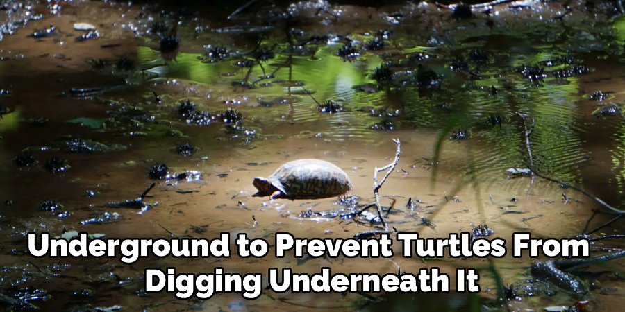 Underground to Prevent Turtles From 
Digging Underneath It