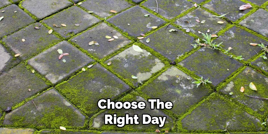 Choose the Right Day