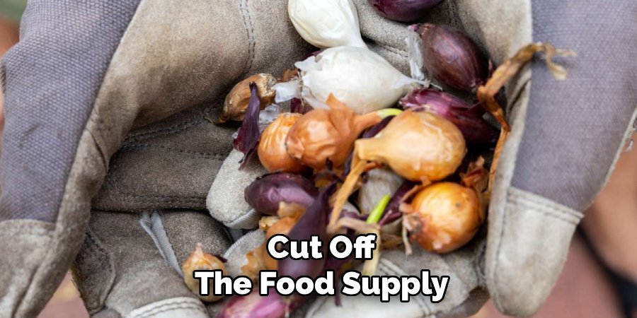 Cut Off the Food Supply