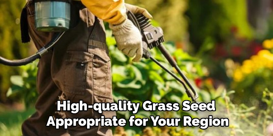 High-quality Grass Seed 
Appropriate for Your Region
