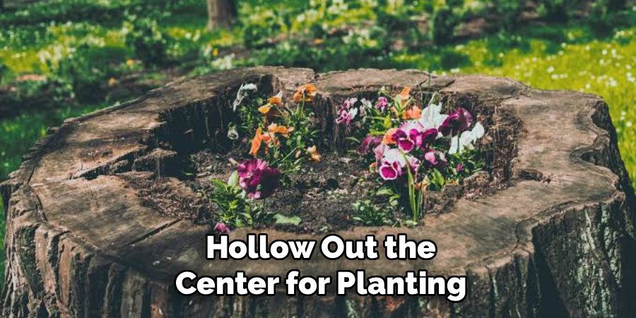 Hollow Out the Center for Planting