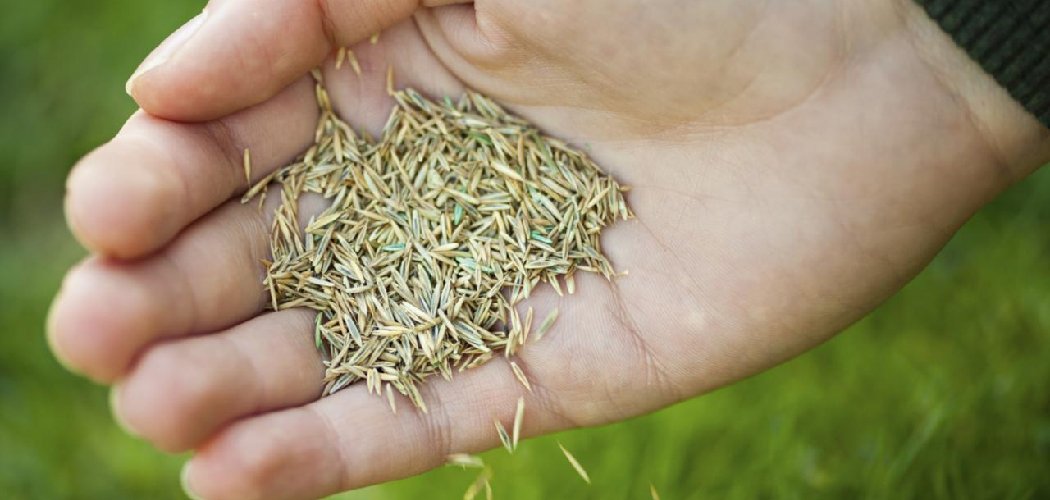 How to Apply Milorganite