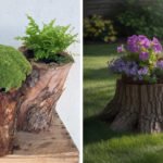 How to Decorate a Stump
