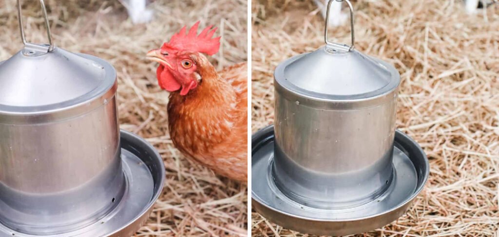 How to Keep Chicken Water Clean
