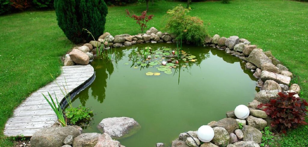 How to Make a Koi Pond Cheap
