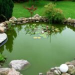 How to Make a Koi Pond Cheap