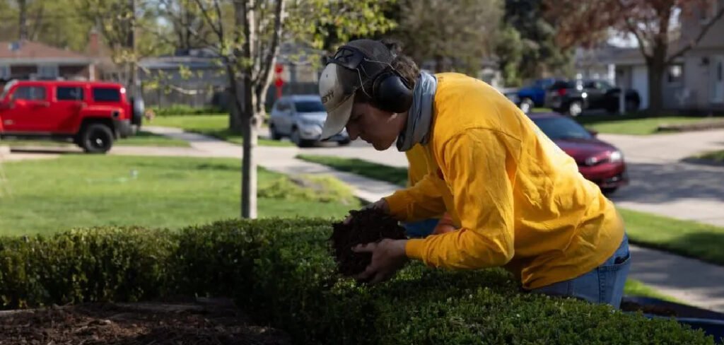 How to Remove Acorns from Yard