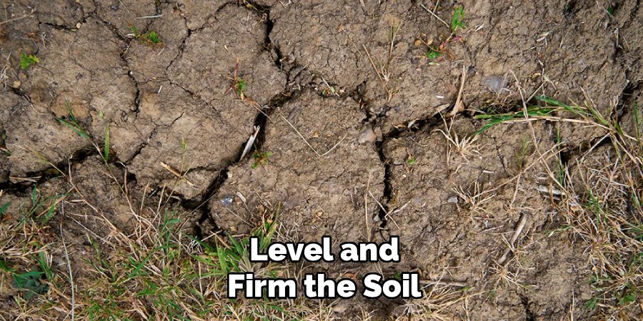Level and Firm the Soil