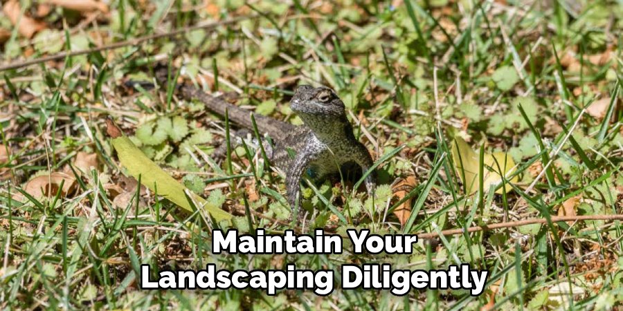 Maintain Your Landscaping Diligently