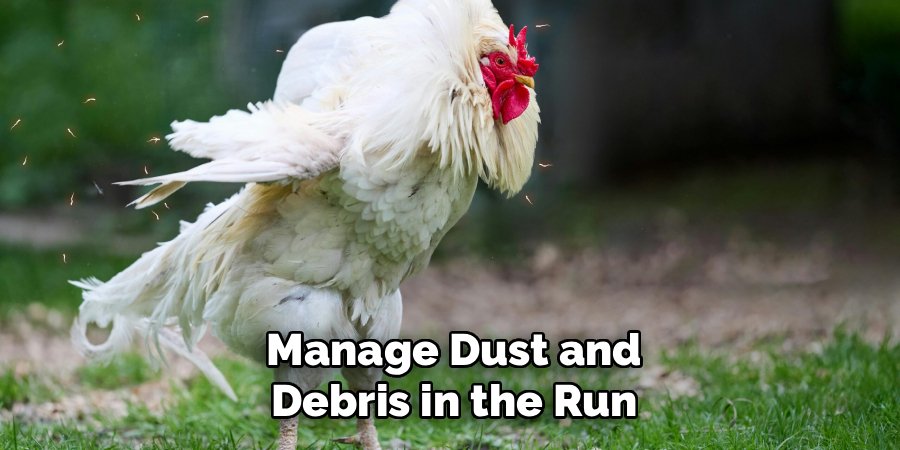 Manage Dust and Debris in the Run