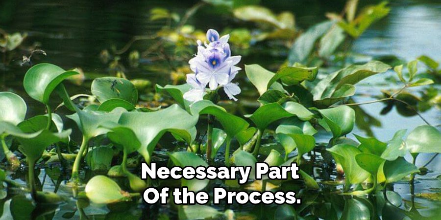 Necessary Part 
Of the Process.